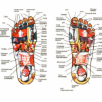 רפלקסולוגיה